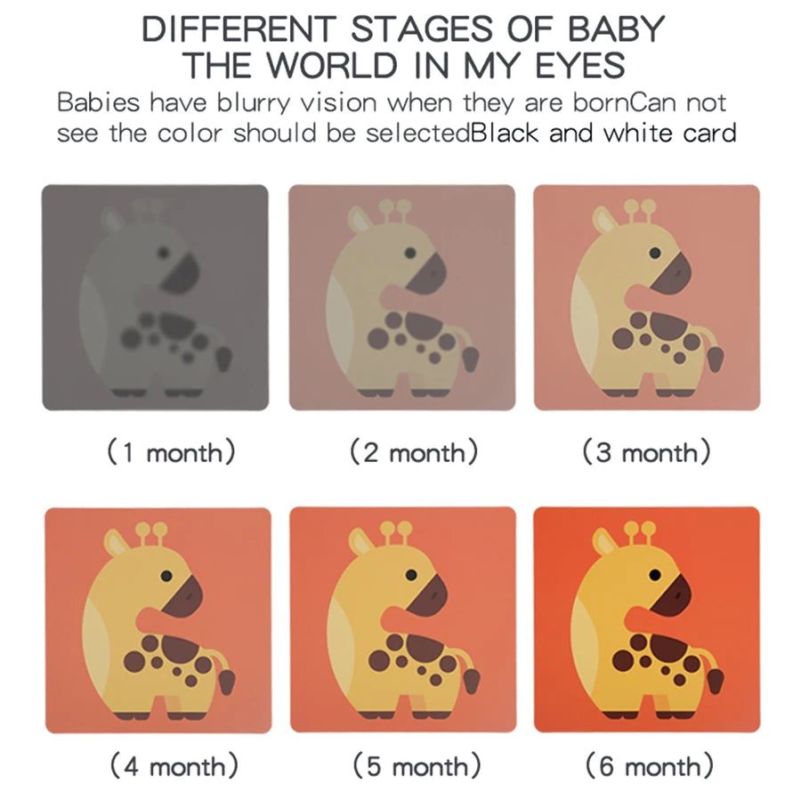 Tarjetas de estimulación Visual para bebés
